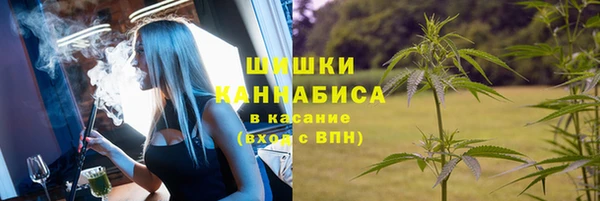 кокс Вяземский