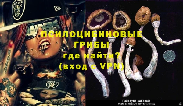 кокс Вяземский
