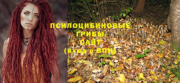 кокс Вяземский