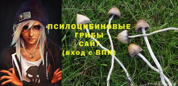 ALPHA-PVP Вязники