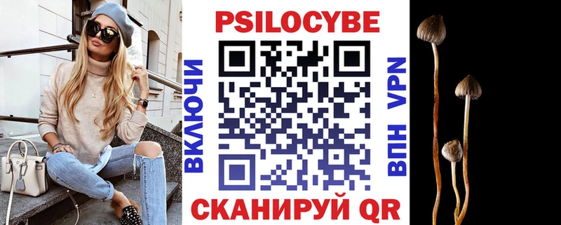 Купить  Каменногорск  Галлюциногенные грибы Psilocybine cubensis 